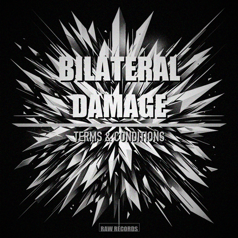 Bilateral Damage – Terms & Conditions